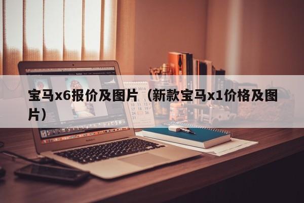 宝马x6报价及图片（新款宝马x1价格及图片）