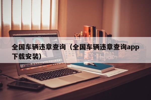 全国车辆违章查询（全国车辆违章查询app下载安装）