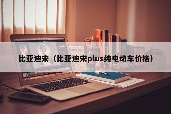 比亚迪宋（比亚迪宋plus纯电动车价格）