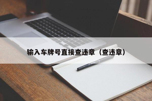 输入车牌号直接查违章（查违章）