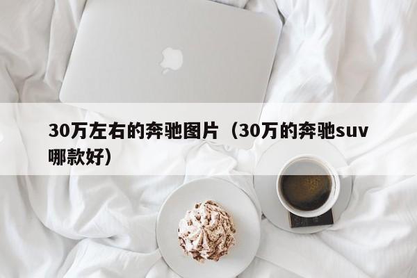 30万左右的奔驰图片（30万的奔驰suv哪款好）