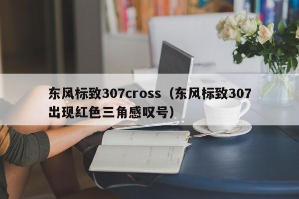 东风标致307cross（东风标致307出现红色三角感叹号）