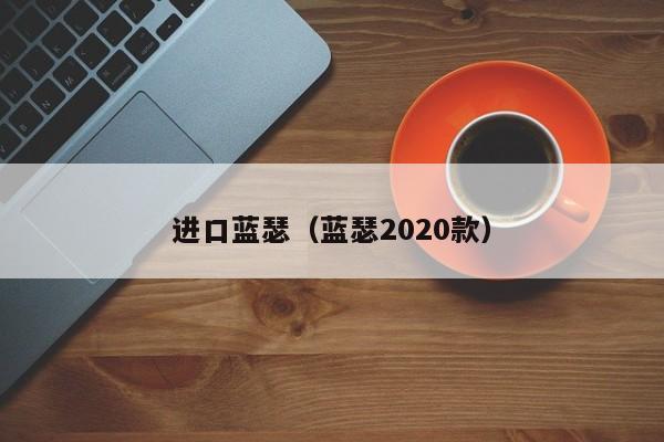 进口蓝瑟（蓝瑟2020款）