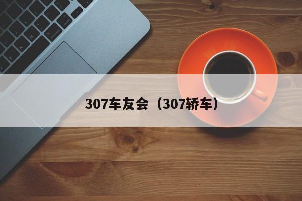 307车友会（307轿车）