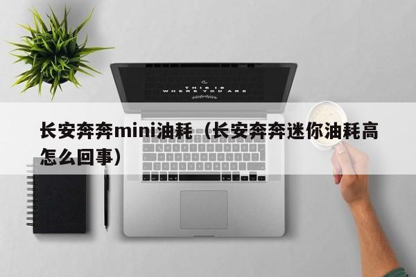 长安奔奔mini油耗（长安奔奔迷你油耗高怎么回事）