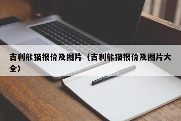 吉利熊猫报价及图片（吉利熊猫报价及图片大全）