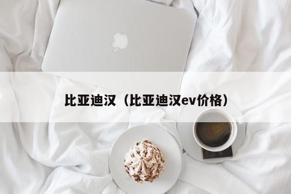 比亚迪汉（比亚迪汉ev价格）