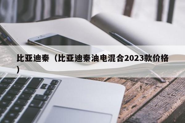 比亚迪秦（比亚迪秦油电混合2023款价格）