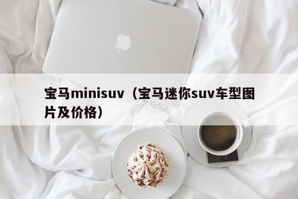 宝马minisuv（宝马迷你suv车型图片及价格）