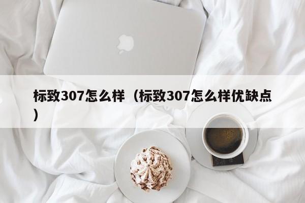 标致307怎么样（标致307怎么样优缺点）