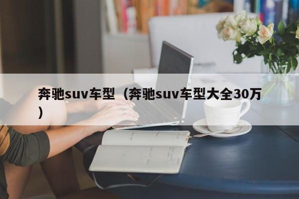 奔驰suv车型（奔驰suv车型大全30万）