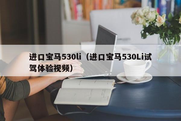 进口宝马530li（进口宝马530Li试驾体验视频）