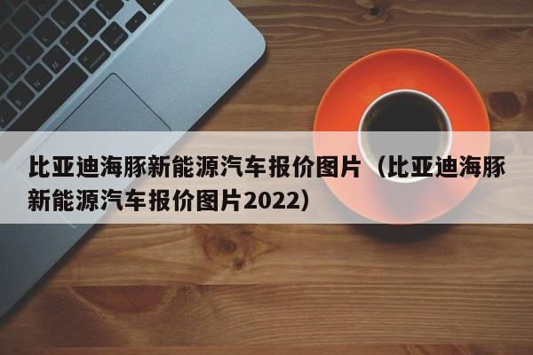 比亚迪海豚新能源汽车报价图片（比亚迪海豚新能源汽车报价图片2022）